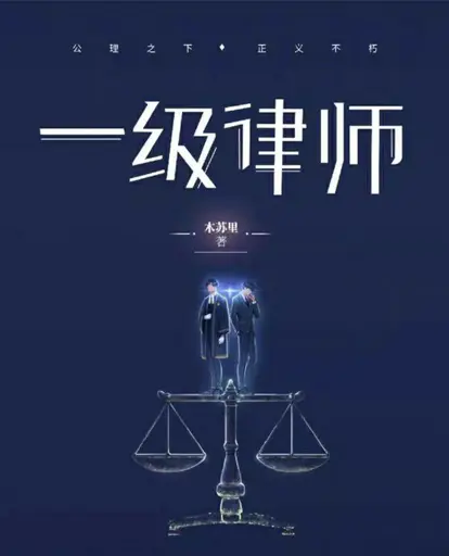 The Lawyer poster