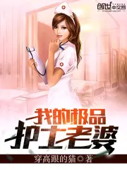 My Wonderful Nurse Wife poster